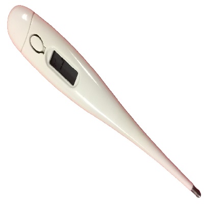 Thermometer