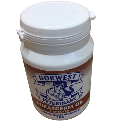 Wheatgerm Oil Capsules