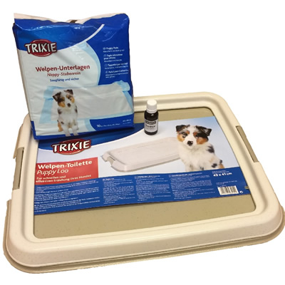 Puppy toilet training