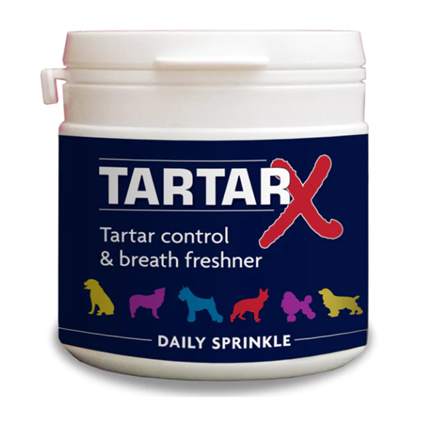Pet-Teeth-Cleaning
